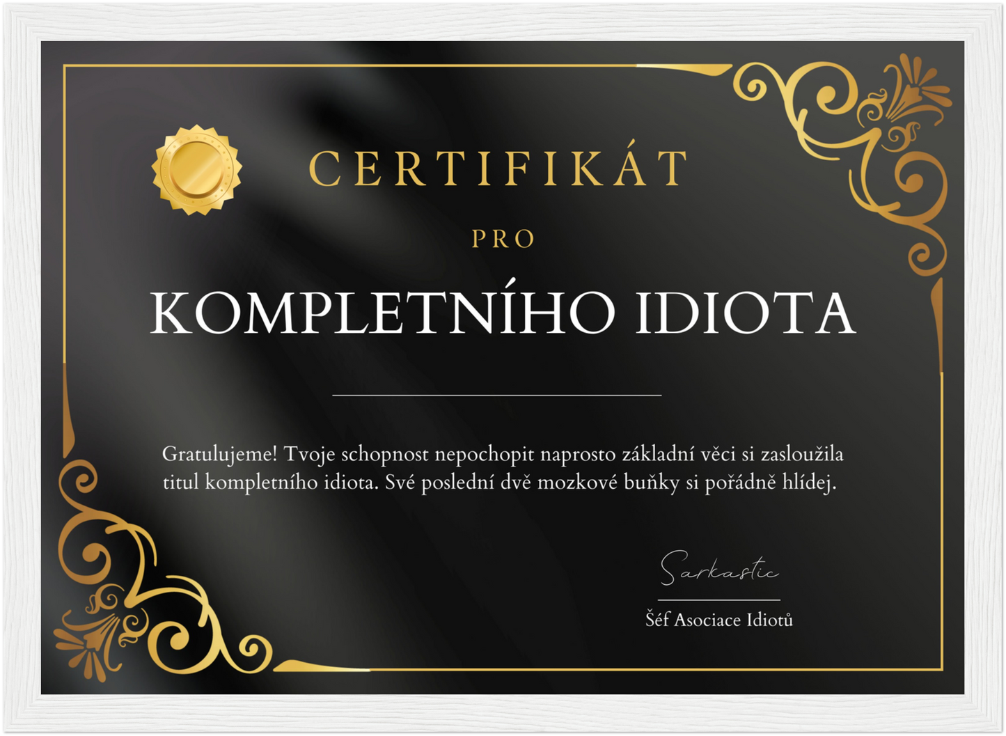 Certifikát Kompletní Idiot