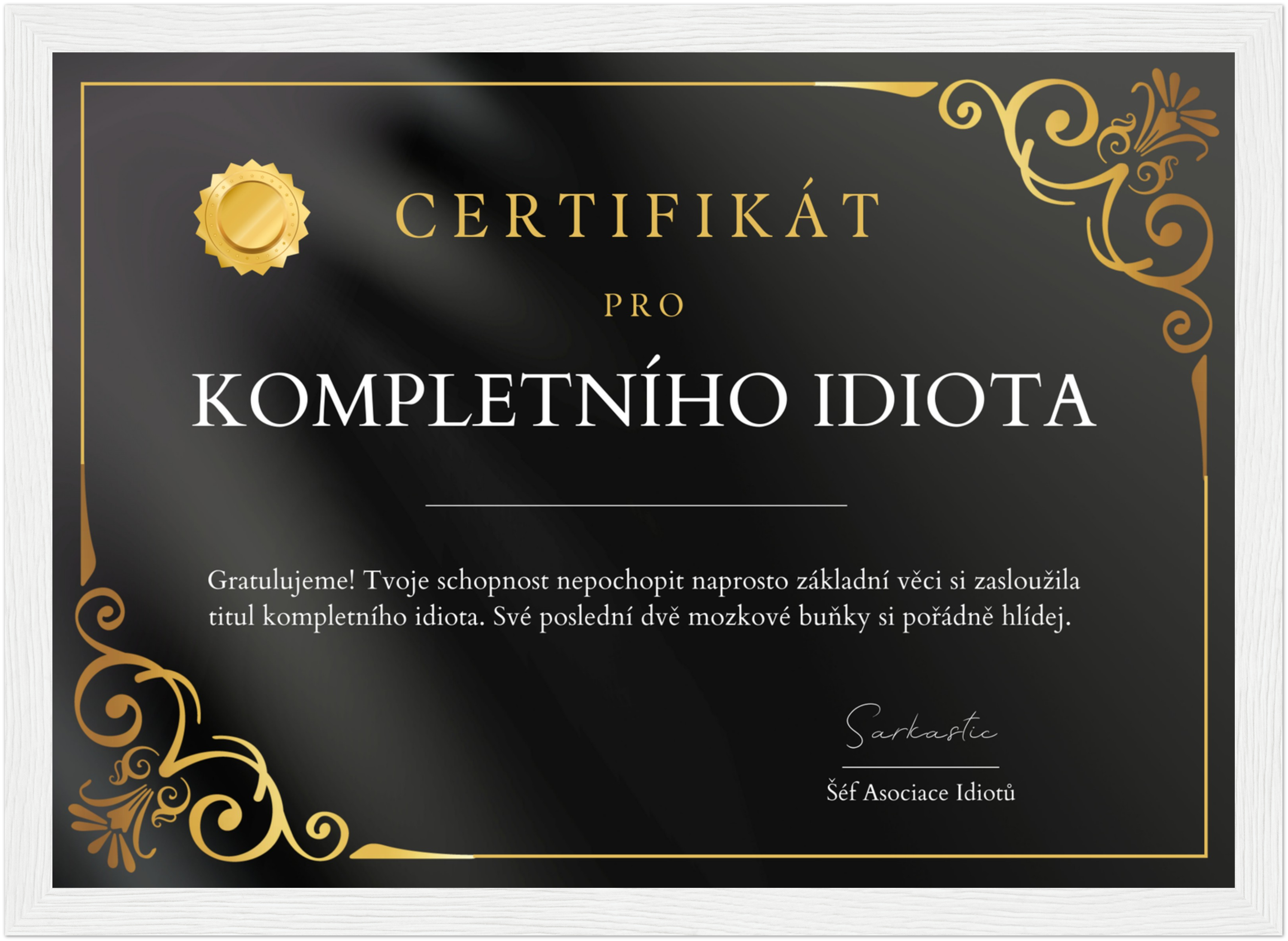 Certifikát Kompletní Idiot