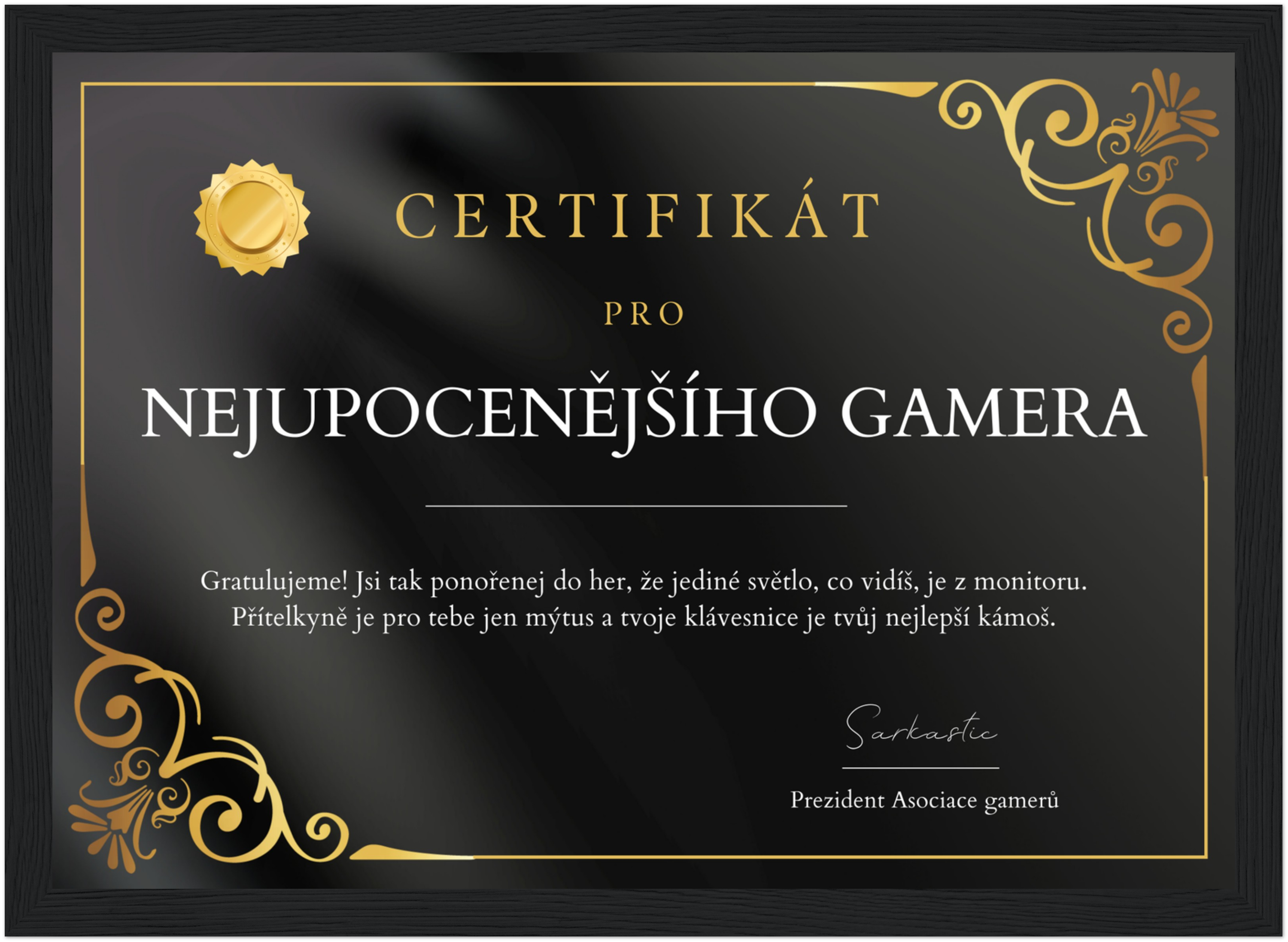 Certifikát Nejupocenější Gamer