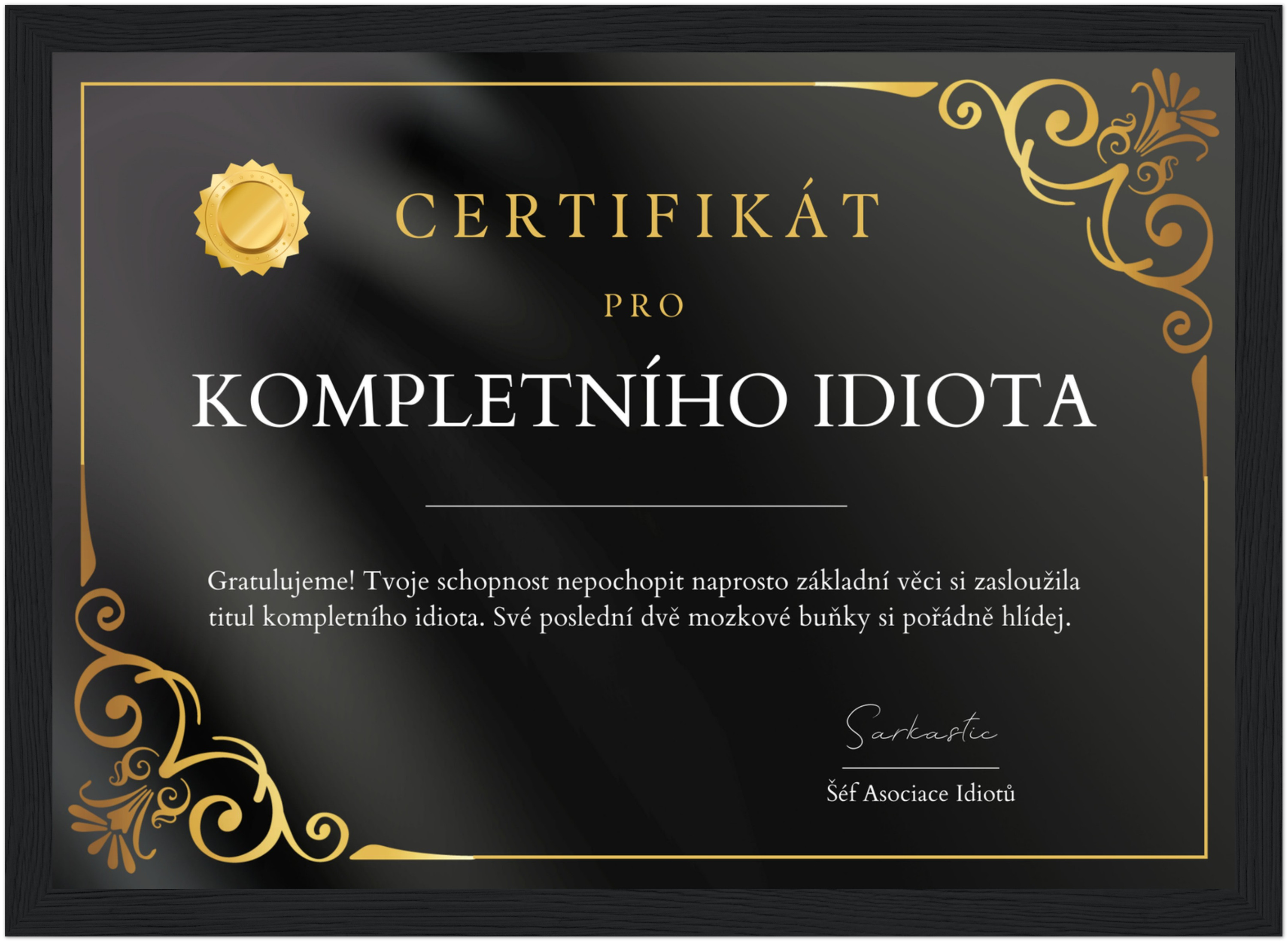 Certifikát Kompletní Idiot