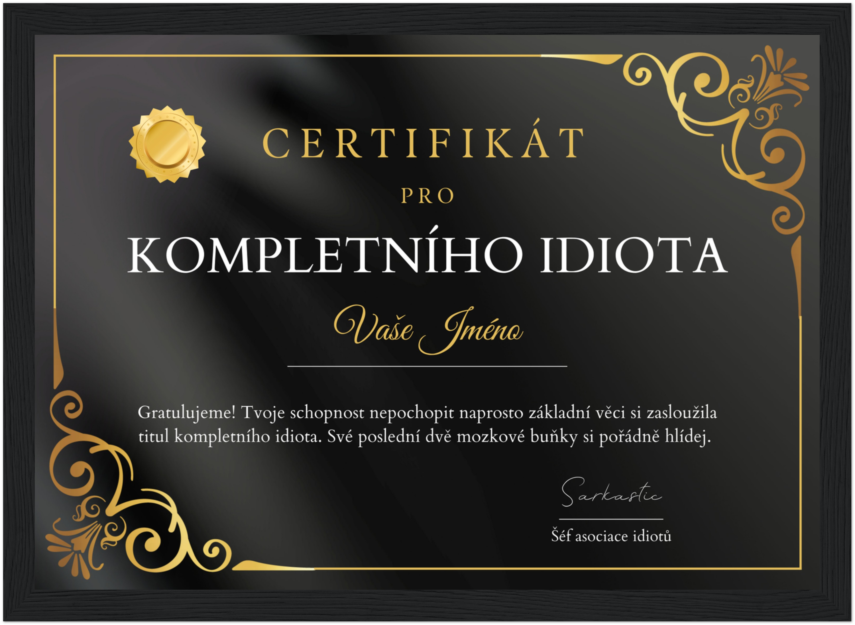 Certifikát Kompletní Idiot