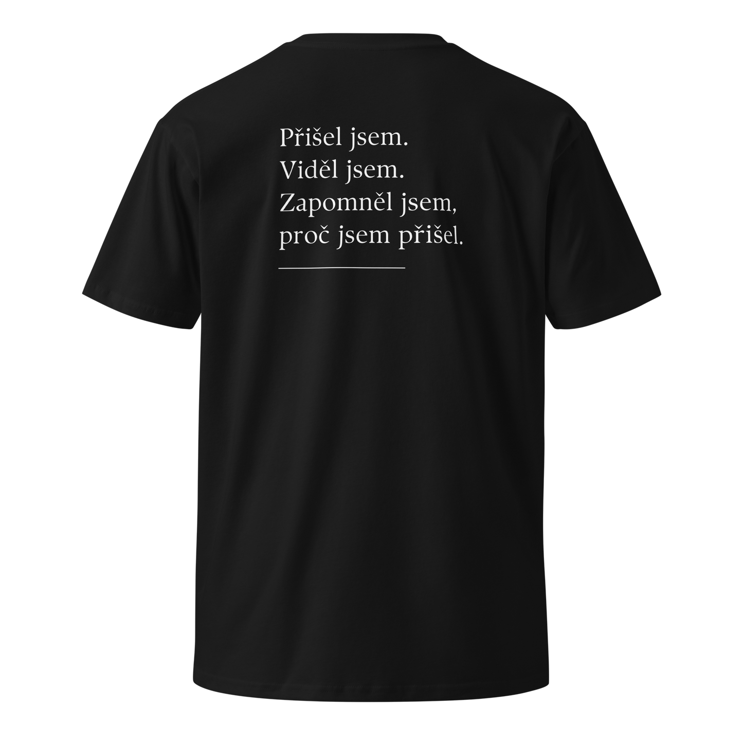 Pánské tričko - Přišel jsem viděl jsem zapomněl jsem proč jsem přišel