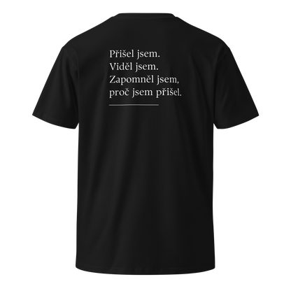 Pánské tričko - Přišel jsem viděl jsem zapomněl jsem proč jsem přišel