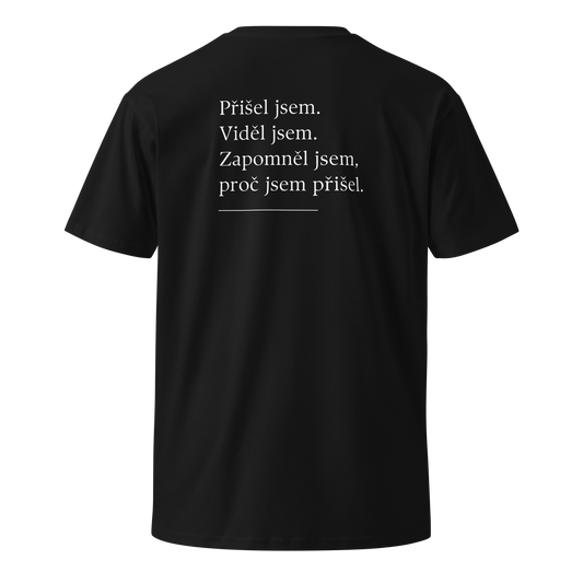 Pánské tričko - Přišel jsem viděl jsem zapomněl jsem proč jsem přišel