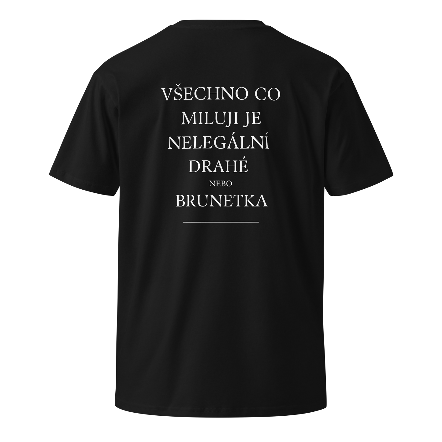 Pánské tričko - Všechno co miluji je nelegální drahé nebo brunetka