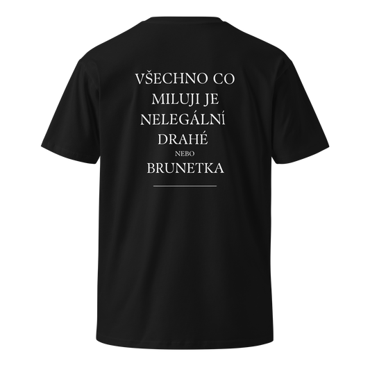 Pánské tričko - Všechno co miluji je nelegální drahé nebo brunetka