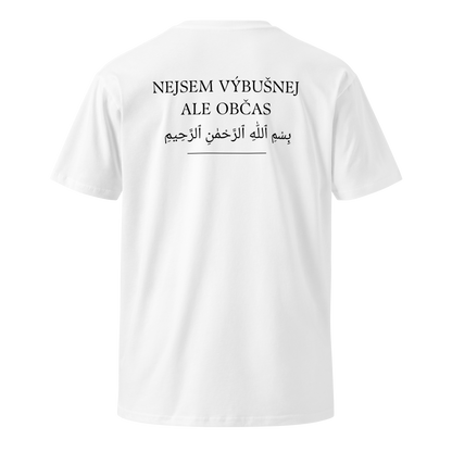 Pánské tričko - Nejsem výbušnej ale občas..