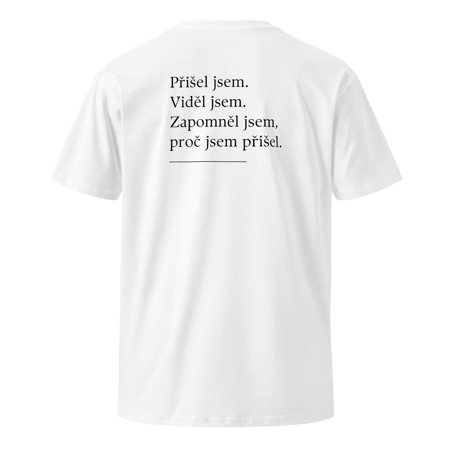 Pánské tričko - Přišel jsem viděl jsem zapomněl jsem proč jsem přišel